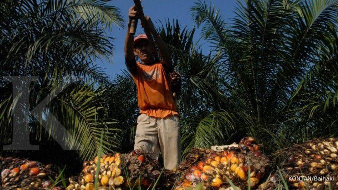 Storebrand blacklist investasi di kelapa sawit