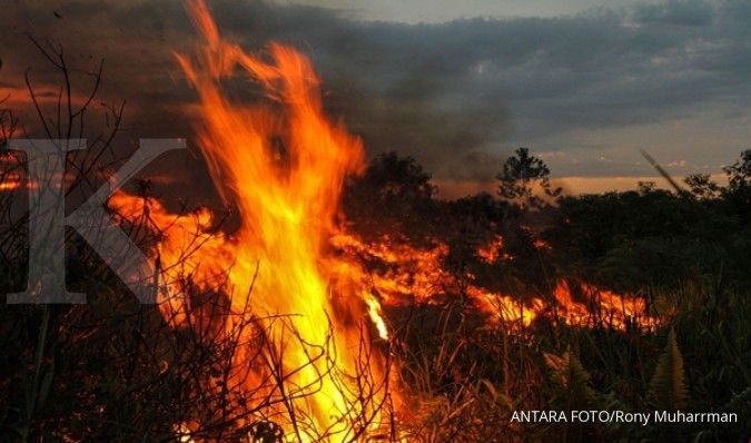 Kebakaran hutan di Portugal, 19 warga tewas