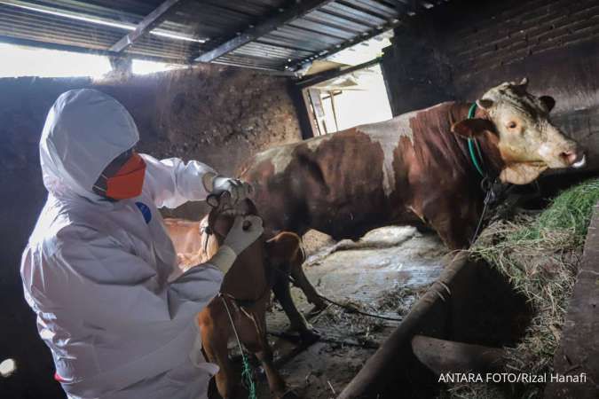 Wabah PMK Merebak, DPR Desak Pemerintah Lakukan Isolasi dan Karantina 