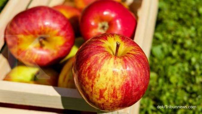 Cara membersihkan paru-paru bisa dengan makan apel.