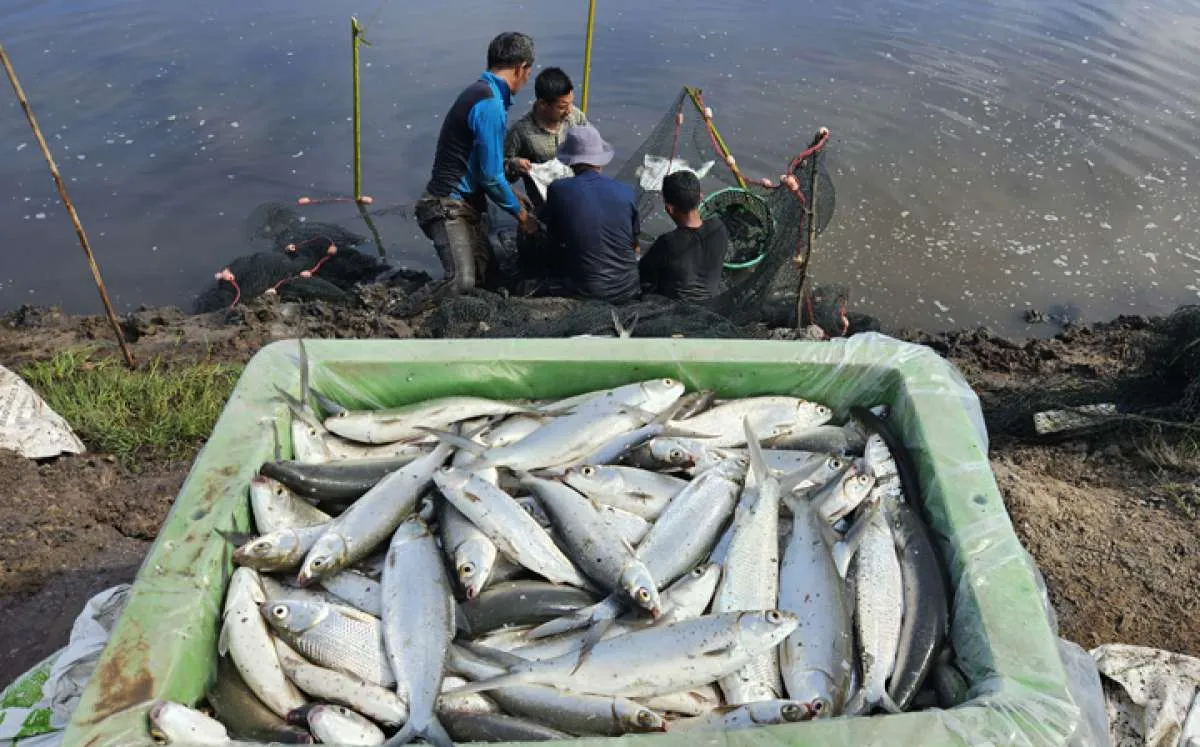 Jadwal Azan Magrib Aceh Timur Minggu (8/3) dan Panduan saat Berbuka