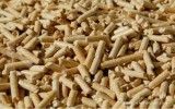 Produsen Wood Pellet Jadi Penghasil Devisa Ekspor Terbesar di Gorontalo
