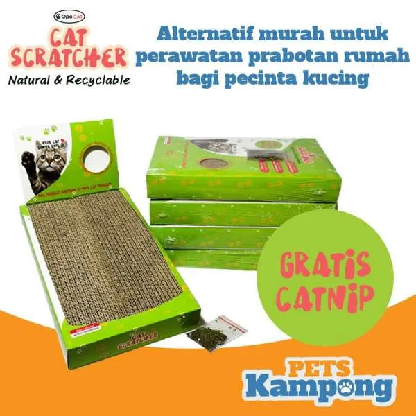 Pets Kampong Garukan Kucing