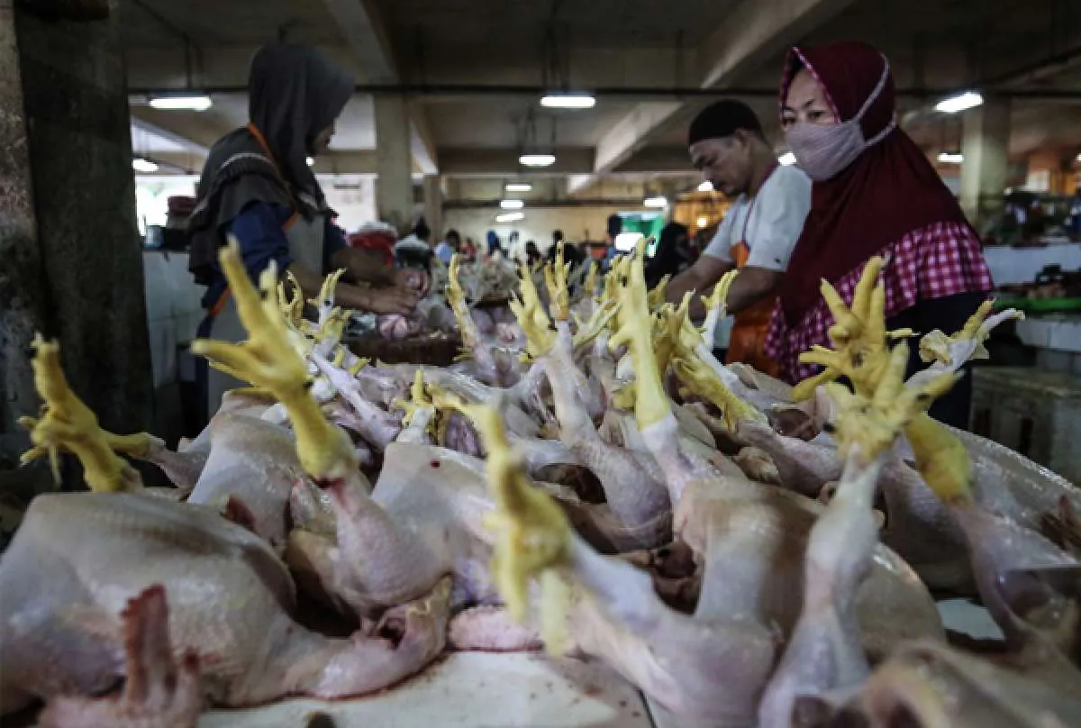 Harga Sejumlah Komoditas Naik, Kepercayaan Masyarakat kepada Pemerintah Menurun