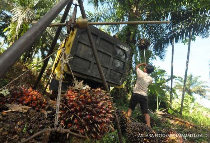 Gapki: Ekspor Minyak Sawit Indonesia ke China Bakal Tembus 7 Juta Ton