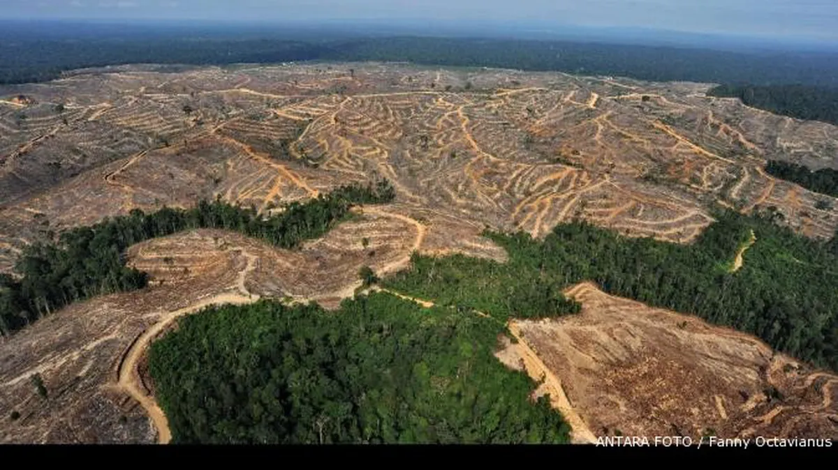 Penetapan hutan tak bisa sembarangan