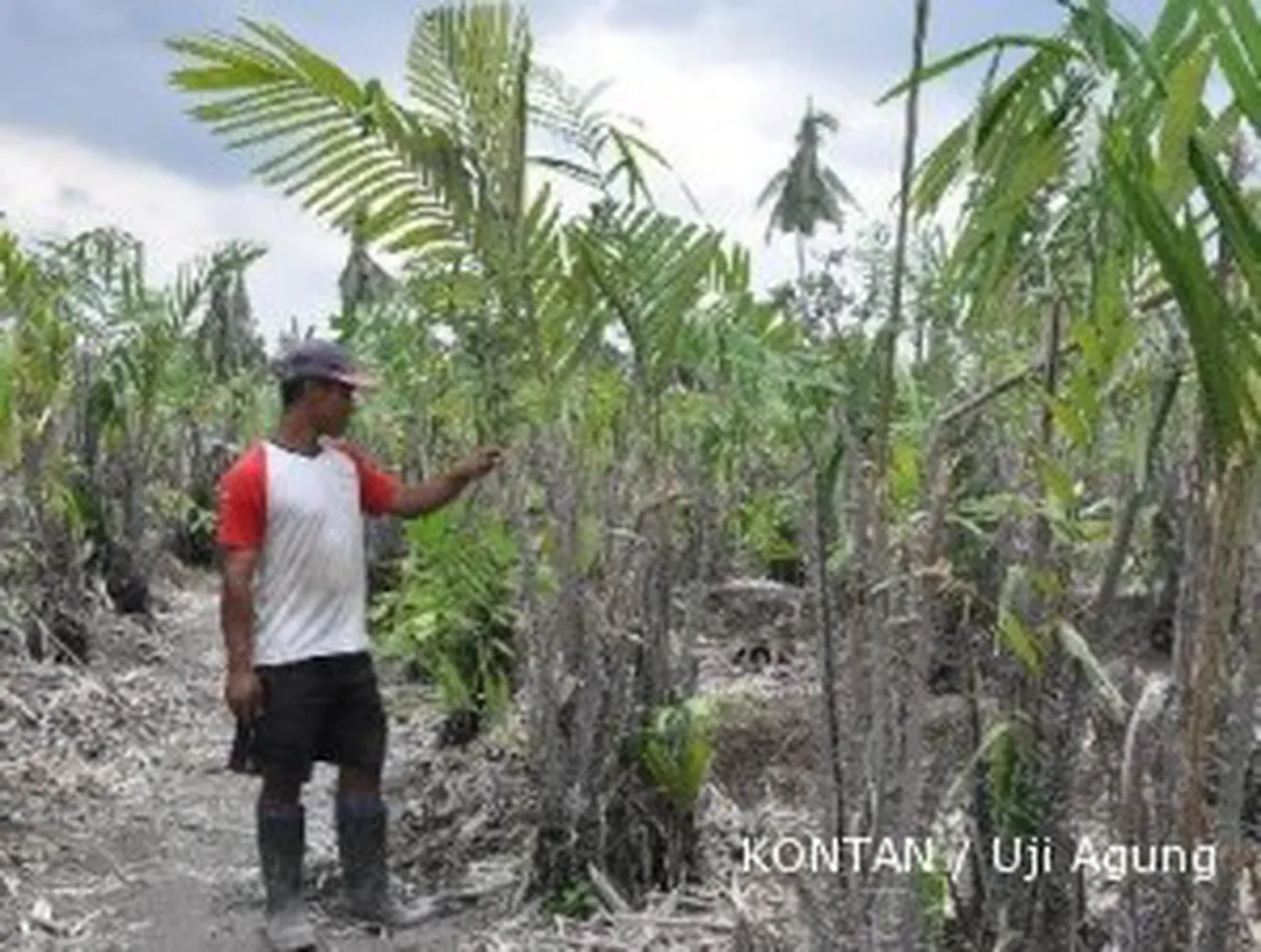 Warga Merapi yang direlokasi dapat dana Rp 30 juta per KK