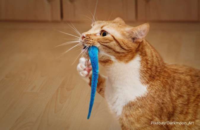 Ini Alasan Kenapa Kucing Peliharaan Membawakan Hewan Mati untuk Anda