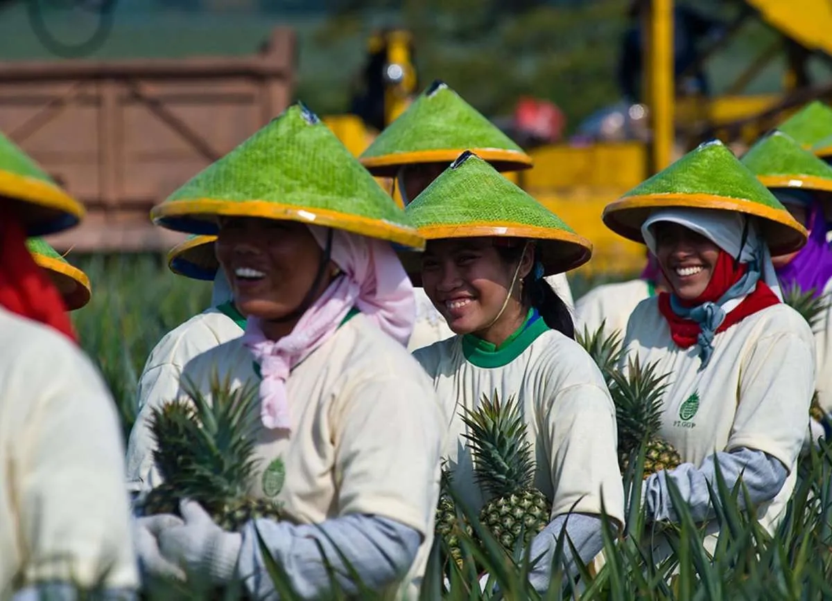 Great Giant (GGF) Grup Akan Ekspor 15.000 Kontainer Ke 65 Negara di 2023