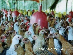Waspada flu burung, Hong Kong musnahkan 17.000 ayam