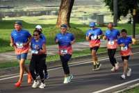 Cek Tema Hari Kesehatan Dunia 2026: Dampak Besar Kolaborasi dengan One Health