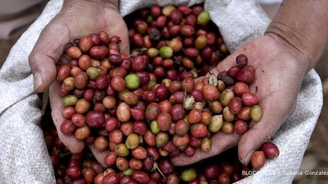 Semester I 2012, ekspor kopi bubuk melejit 150%