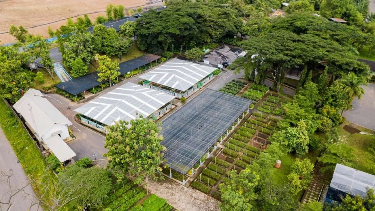 Kinerja di 2025 Masih Tumbuh, Bukit Asam (PTBA) Percaya Tetap Melaju di Tahun Ini 