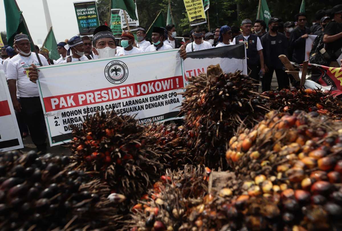 Petani Sawit Tolak Larangan Ekspor Minyak Goreng dan CPO