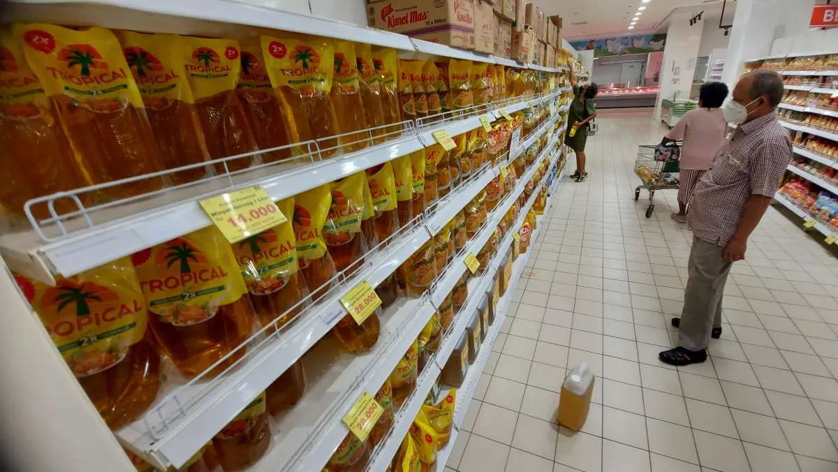 Pengamat: Kebijakan DMO Minyak Goreng, Jangka Pendek Melindungi Konsumen