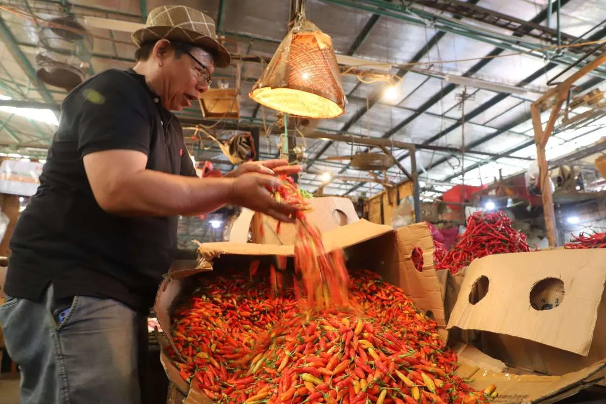 Harga Pangan Banten : Rawit Merah Naik 47,71% Tembus Rp 120 ribu per kg, Rabu (8/1)
