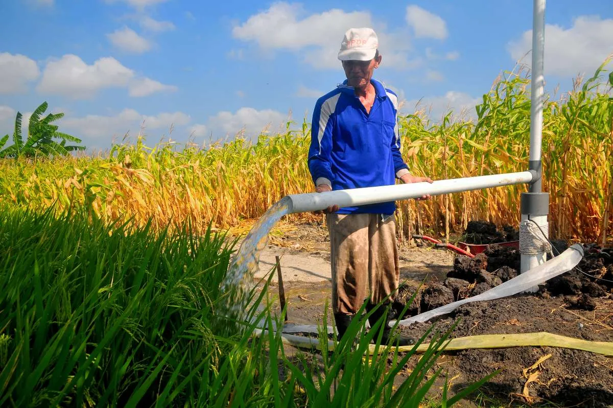 Kementan Targetkan Penguatan Irigasi di 2,3 Juta hektar Lahan sawah