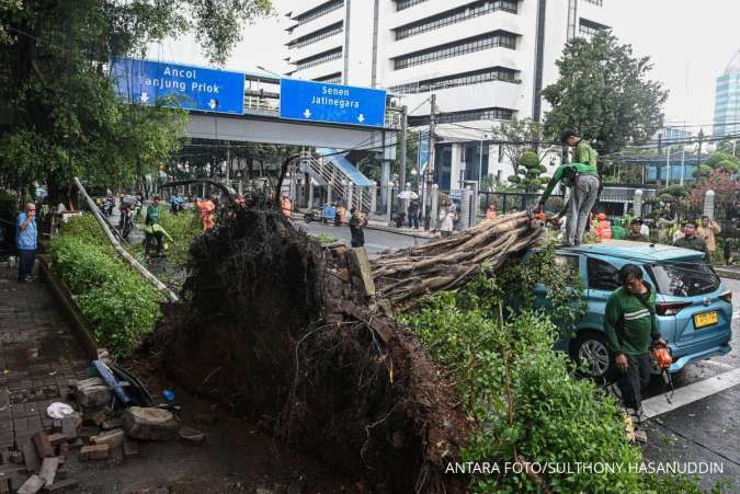 Pemprov DKI Jakarta Membuka Posko Pohon Tumbang 24 Jam