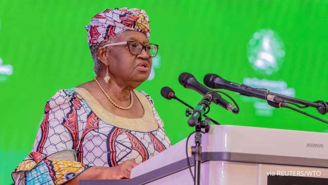 Negosiasi WTO Alot di Kamerun, Nasib Pajak Digital E-Commerce Global Terancam