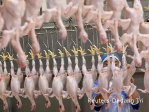 China Kenakan BAMDS Ayam dari Amerika