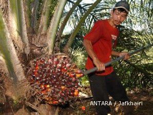 Harga CPO melaju ke level tertinggi dalam dua minggu terakhir