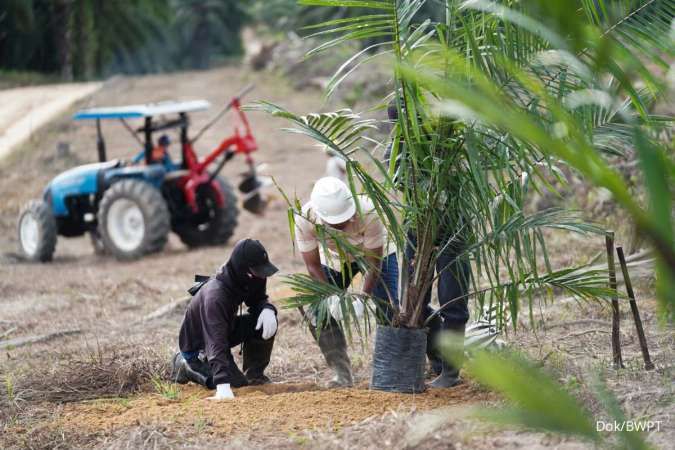 Guna Tingkatkan Produksi TBS dan CPO, BWPT Optimalkan Mekanisasi & Digitalisasi