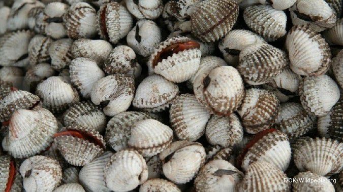 6 Jenis Asupan yang Sebaiknya Jadi Pantangan Penderita Asam Urat