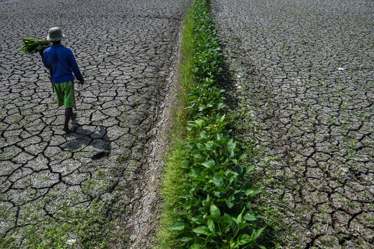 BMKG: El Nino Kuat, Sebagian Besar Wilayah Indonesia Alami Musim Kemarau Lebih Kering