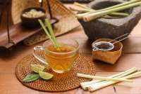 Tanaman Herbal yang Bisa Ditanam dengan Sistem Hidroponik di Rumah, Ini Daftarnya