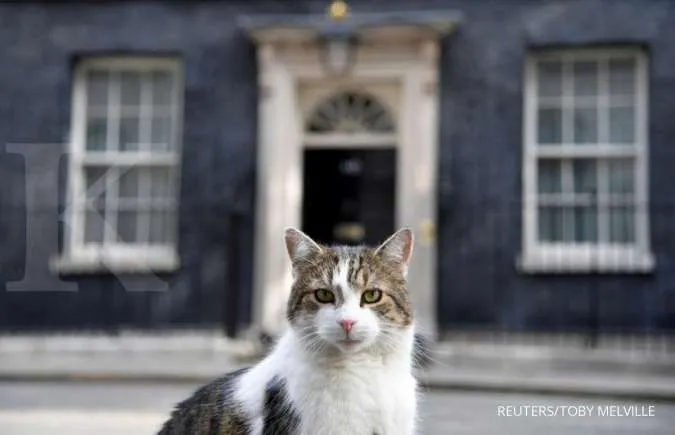 6 Warna Cat Lorong Rumah yang Bikin Hunian Terasa Lebih Estetik dan Nyaman