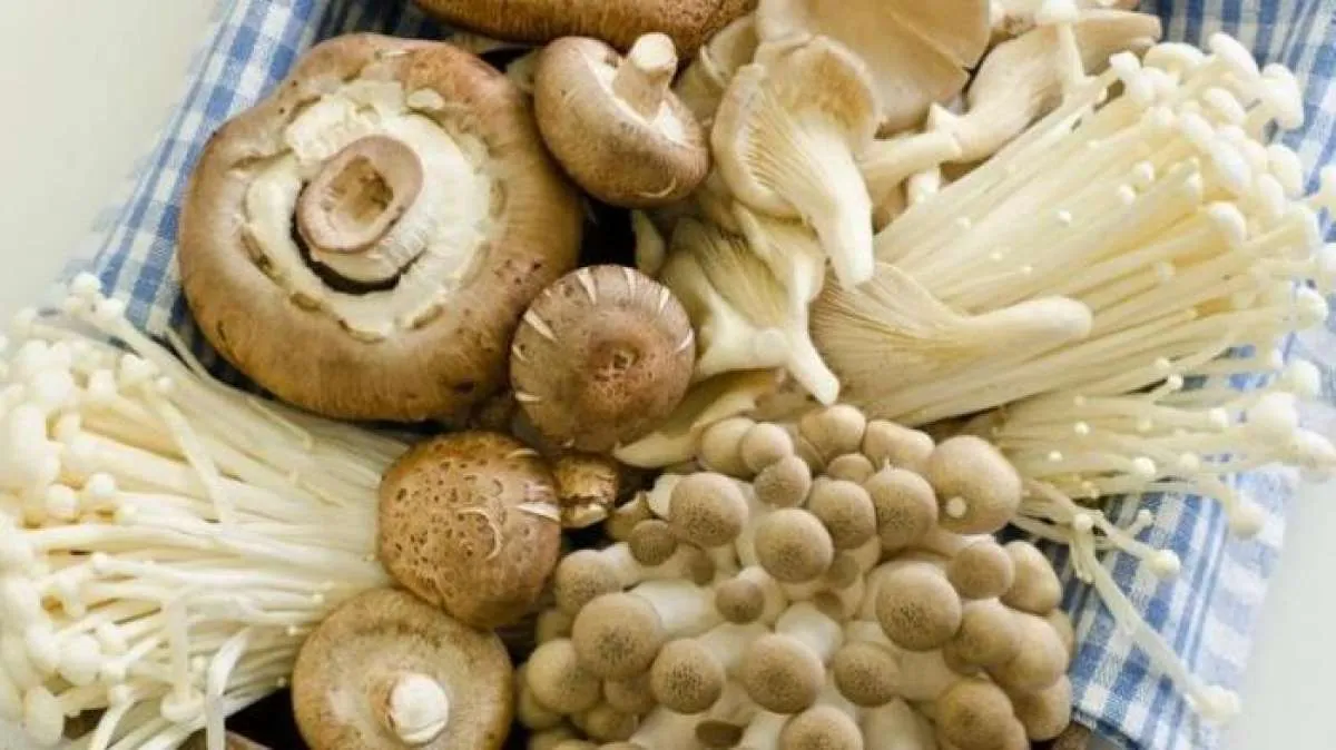 Bikin Keracunan dan Gangguan Pencernaan! 6 Sayuran Ini Tidak Boleh Dimakan Mentah 