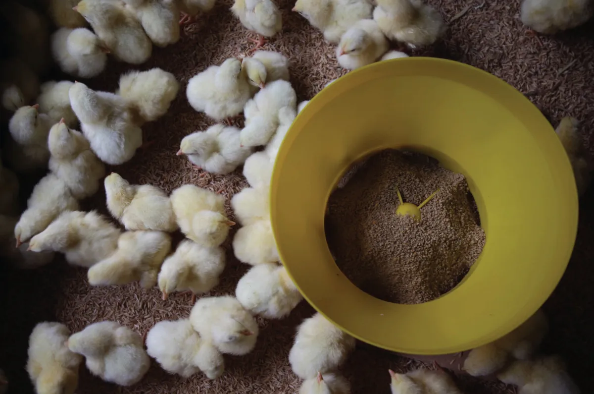 Penyaluran Pembiayaan Mekaar Terus Mencetak Rekor