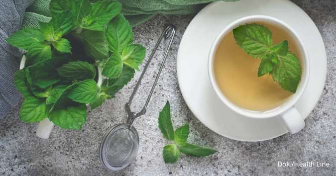 6 Manfaat Minum Spearmint Tea, Bisa Bantu Atasi PCOS pada Perempuan Lo
