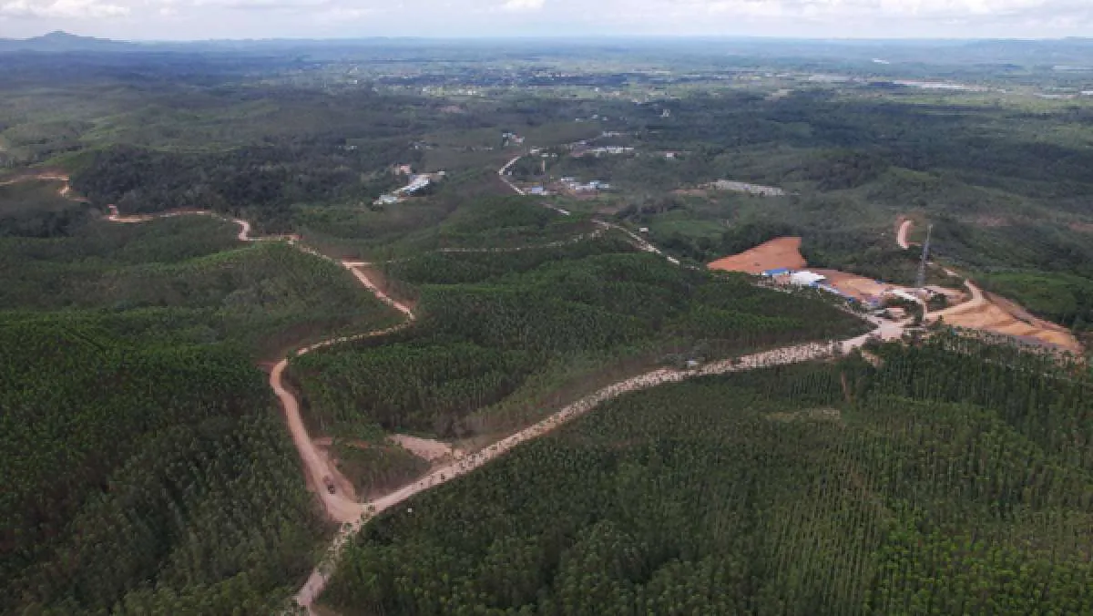 Tender Proyek di IKN Mulai Dibuka, Kadin: Perlu Ada Prioritas kepada Swasta Lokal