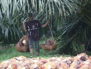 Anak usaha BWPT raih pinjaman Rp 237 miliar