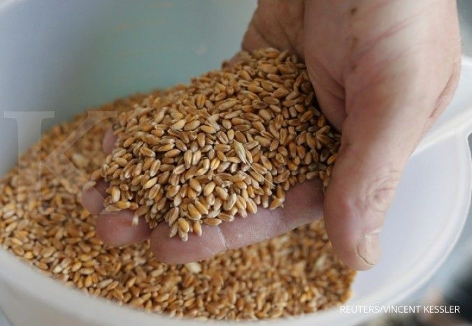 Impor gandum 2017 diprediksi tembus 8,79 juta ton