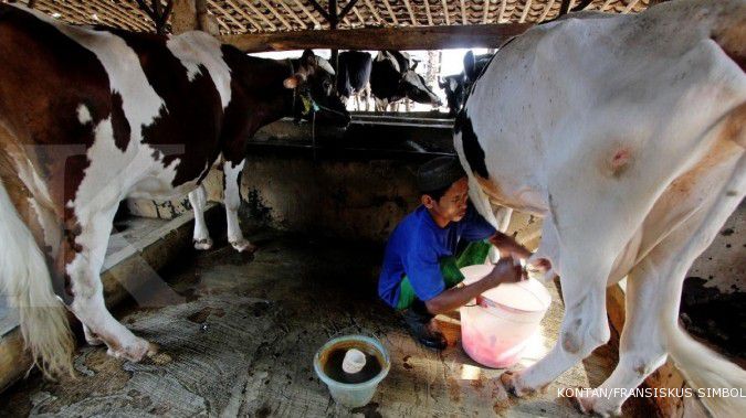 Lampu merah untuk industri susu nasional