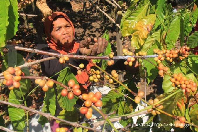 Gaeki: Kecil kemungkinan kopi Indonesia mengandung pestisisa weedkiller glysophate