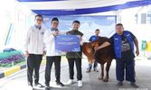 PNM Tebar Syukur, Salurkan Hewan Kurban untuk Warga di Sekitar Wilayah Layanan