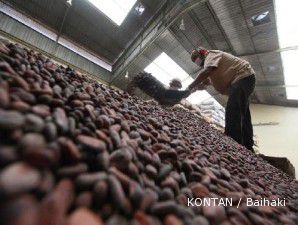 Petani mulai fermentasi kakao, impor kakao turun