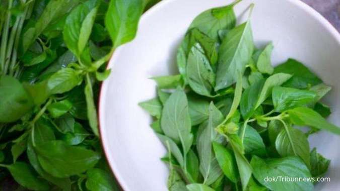 Manfaat daun kemangi untuk kesehatan
