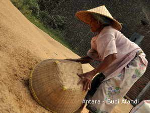 Harga Gabah Anjlok