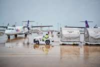 FedEx Edukasi Pelaku Usaha untuk Hadapi Tekanan Regulasi dan Tarif Global