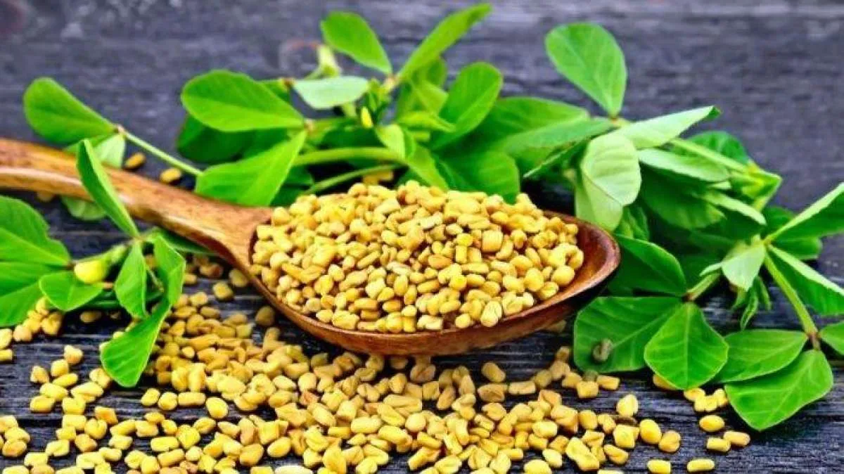 Penelitian: Fenugreek Efektif Menurunkan Gula Darah pada Penderita Diabetes