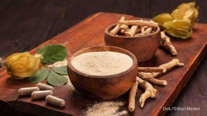 5 Manfaat Aswagandha, Suplemen Herbal Viral di Tiktok Baik bagi Kesehatan