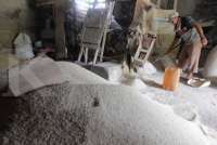 Pemerintah Berencana Ekspor 1 Juta Ton Beras: Risiko Harga Domestik Kian Mencekik