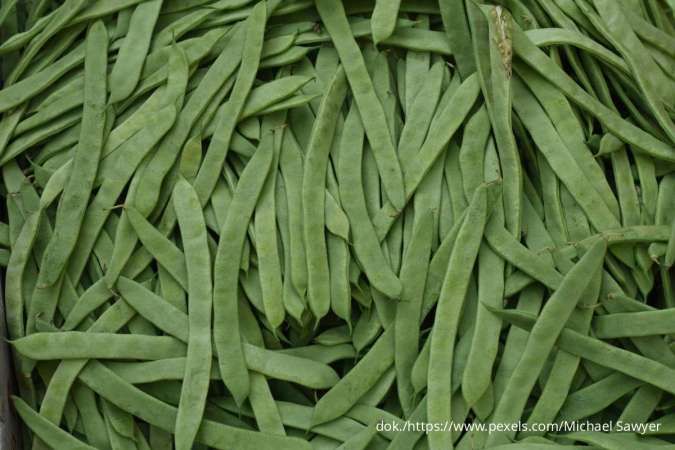 7 Manfaat Buncis: Rahasia Pencernaan Sehat & Jantung Kuat Ada di Sini