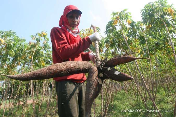 Satu Tahun Pemerintahan Prabowo, Mentan Lapor Sektor Pertanian Sumbang PDB 13,83%