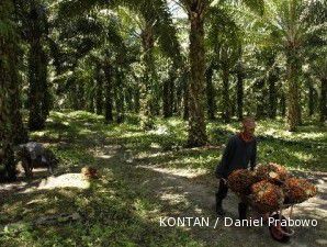 Tahun ini, Bakrie Sumatera siapkan Rp 5,5 miliar untuk CSR