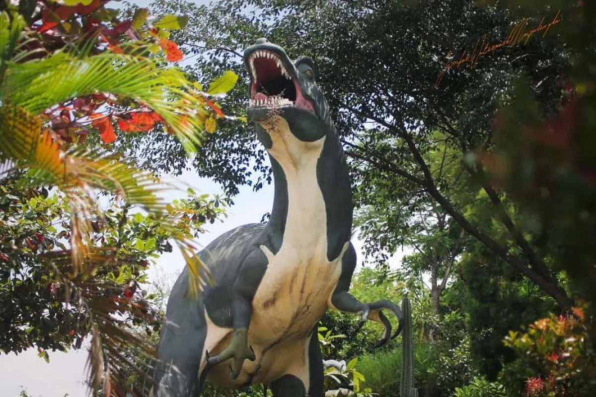 Unik! Anak-anak bisa berenang sambil mengenal jenis dinosaurus di Jembar Waterpark